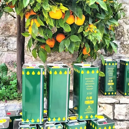 Casa de Férias Trullo Bosco Libero