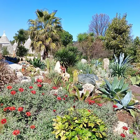 Casa de Férias Trullo Bosco Libero