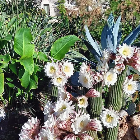 Trullo Bosco Libero Casa de Férias *