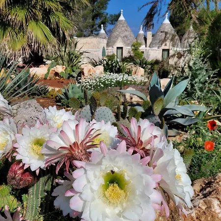 Trullo Bosco Libero Hébergement de vacances