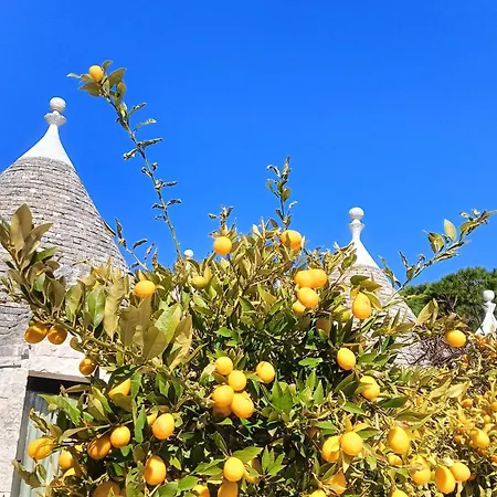 Holiday home Trullo Bosco Libero *