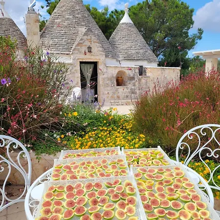 Trullo Bosco Libero Ostuni
