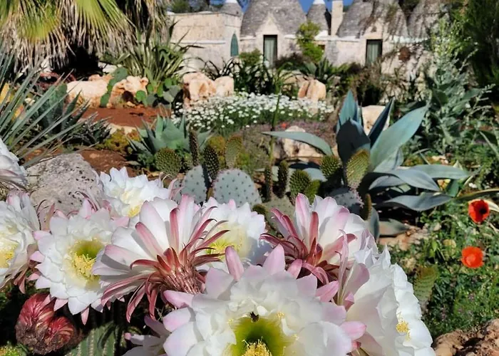 Trullo Bosco Libero 度假居