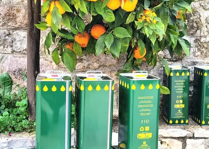 度假居 Trullo Bosco Libero